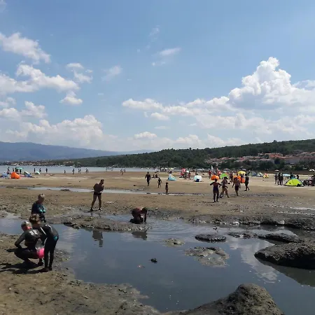 Mario マリンスカ